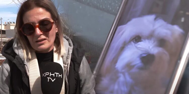 Συγκλονισμένη η ιδιοκτήτρια του μικρόσωμου σκύλου που κατασπαράχθηκε – «Αυτό που έζησα να μην το ζήσει κανείς» (video)