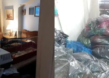 66χρονη ζούσε 20 ημέρες με το πτώμα της μητέρας της και δεκάδες γάτες στα Εξάρχεια – Συνελήφθη για ανθρωποκτονία (video)