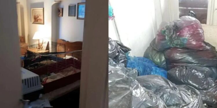 Alldaynews.gr 66χρονη ζούσε 20 ημέρες με το πτώμα της μητέρας της και δεκάδες γάτες στα Εξάρχεια – Συνελήφθη για ανθρωποκτονία (video)