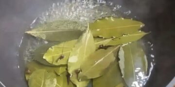 Τώρα, πριν το Πάσχα και την πολλή ζέστη, βάλτε αυτό μέσα στο σπίτι σας και δεν πρόκειται να δείτε ξανά μύγα, κουνούπι και κατσαρίδα