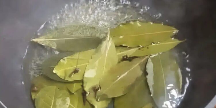 Τώρα, πριν το Πάσχα και την πολλή ζέστη, βάλτε αυτό μέσα στο σπίτι σας και δεν πρόκειται να δείτε ξανά μύγα, κουνούπι και κατσαρίδα