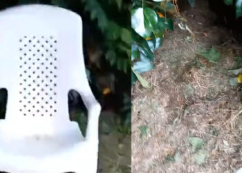 Τραγωδία: Σκότωσε τον σύζυγό της και έλεγε ότι έφυγε για δουλειές – Έστελνε μηνύματα στην κόρη από το κινητό του