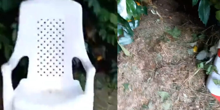 Alldaynews.gr Τραγωδία: Σκότωσε τον σύζυγό της και έλεγε ότι έφυγε για δουλειές – Έστελνε μηνύματα στην κόρη από το κινητό του