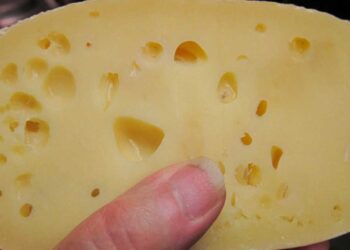 Το τυρί που δυναμώνει τα οστά χωρίς να ανεβάζει τη χοληστερόλη – Ένα κομμάτι την ημέρα αρκεί