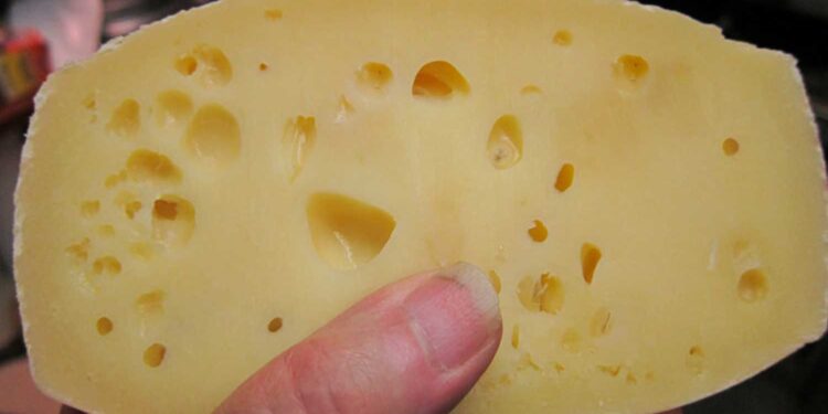 Το τυρί που δυναμώνει τα οστά χωρίς να ανεβάζει τη χοληστερόλη – Ένα κομμάτι την ημέρα αρκεί