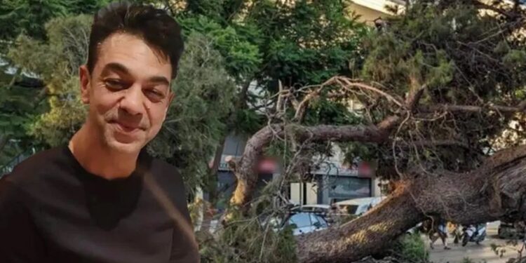 Alldaynews.gr Αποζημίωση 385.000 ευρώ στην οικογένεια του 51χρονου που καταπλακώθηκε από πεύκο 10 τόνων