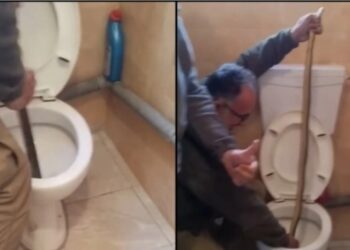 Τα «χρειάστηκε» οικογένεια: Εμφανίστηκε μεγάλο φίδι στη λεκάνη της τουαλέτας τους (video)