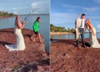 Επικό βίντεο: Νύφη ψάρεψε καρχαρία κατά τη διάρκεια των γαμήλιων φωτογραφιών – «Νόμιζα ότι τραβούσα ένα μεγάλο ψάρι»