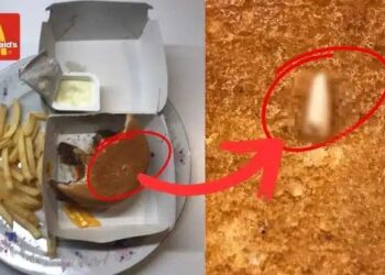 Απίστευτο αυτό που βρήκε μαθήτρια μέσα σε μπέργκερ της McDonald’s στο Χαλάνδρι