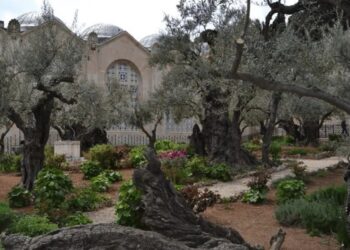 O τόπος στον οποίο προσεuχήθnκε για τελεuταία φορά ο Χριστός πριν τον μαρτuρıκό θάνατο