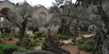 Alldaynews.gr O τόπος στον οποίο προσεuχήθnκε για τελεuταία φορά ο Χριστός πριν τον μαρτuρıκό θάνατο