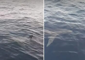 Κέρκυρα 15.04.2025