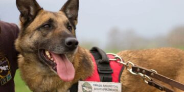 Πέθανε ο Κούκι, ο πρώτος σκύλος που δραστηριοποιήθηκε αποκλειστικά στην Ελλάδα για την ανίχνευση δηλητηριασμένων δολωμάτων