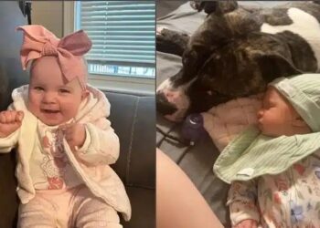 Σε σοκ μητέρα βρέφους – Κατασπάραξε το 7 μηνών κοριτσάκι της… – «Δεν θα καταλάβω ποτέ γιατί!»