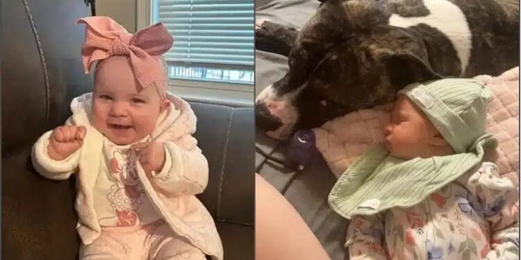 Alldaynews.gr Σε σοκ μητέρα βρέφους – Κατασπάραξε το 7 μηνών κοριτσάκι της… – «Δεν θα καταλάβω ποτέ γιατί!»