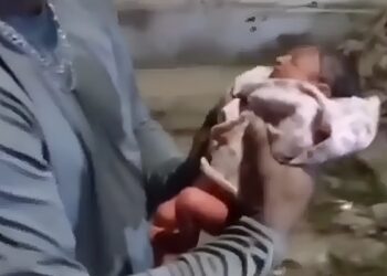 Υπάλληλος καθαριότητας βρήκε νεογέννητο κοριτσάκι δίπλα σε κάδο σκουπιδιών – Βίντεο με τη συγκινητική στιγμή