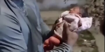 Alldaynews.gr Υπάλληλος καθαριότητας βρήκε νεογέννητο κοριτσάκι δίπλα σε κάδο σκουπιδιών – Βίντεο με τη συγκινητική στιγμή