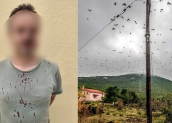 Άγριο ξύλο για τα πουλιά: Λαθροκυνηγοί έστειλαν στο νοσοκομείο ορνιθολόγους από το ξύλο