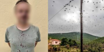 Άγριο ξύλο για τα πουλιά: Λαθροκυνηγοί έστειλαν στο νοσοκομείο ορνιθολόγους από το ξύλο