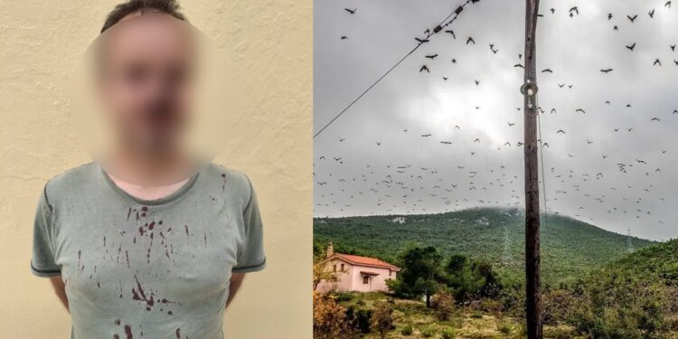 Άγριο ξύλο για τα πουλιά: Λαθροκυνηγοί έστειλαν στο νοσοκομείο ορνιθολόγους από το ξύλο