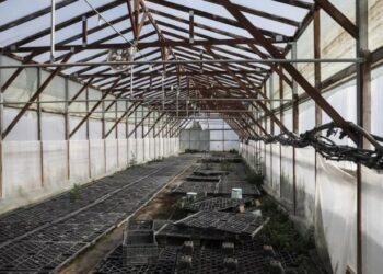 Τραγωδία: Έβαλε τέλος στη ζωή του επειδή θεώρησε ότι έφταιγε για φωτιά σε θερμοκήπιο