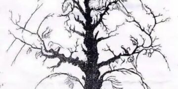 Alldaynews.gr Εσείς πόσα πρόσωπα βλέπετε;