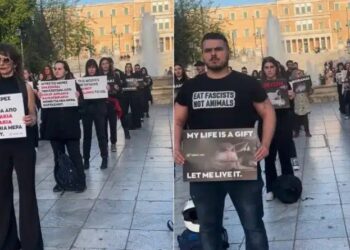 Διαμαρτυρία από vegans στο Σύνταγμα κατά της σφαγής αρνιών το Πάσχα