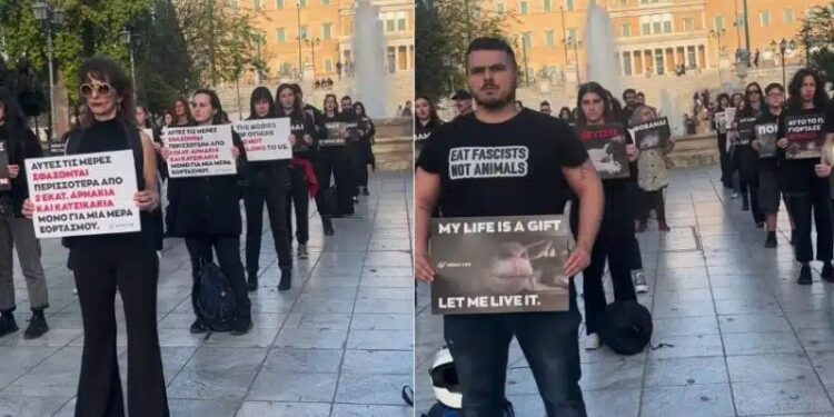 Alldaynews.gr Διαμαρτυρία από vegans στο Σύνταγμα κατά της σφαγής αρνιών το Πάσχα