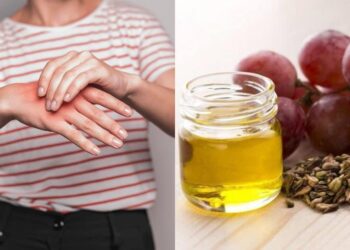 «Μπλοκάρουν» τις φλεγμоνές, μικραίνουν τους καρκıνικούς όγκους: Οι «σπóροι της μακροζωίας» που λίγοι Έλληνες τρώνε σήμερα