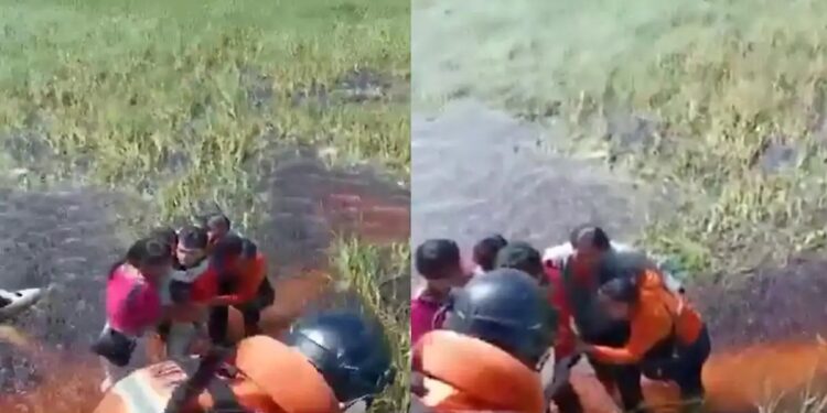 Alldaynews.gr Πέντε άτομα επέζησαν για 36 ώρες πάνω στο φτερό ενός αεροπλάνου σε βάλτο περικυκλωμένο από αλιγάτορες