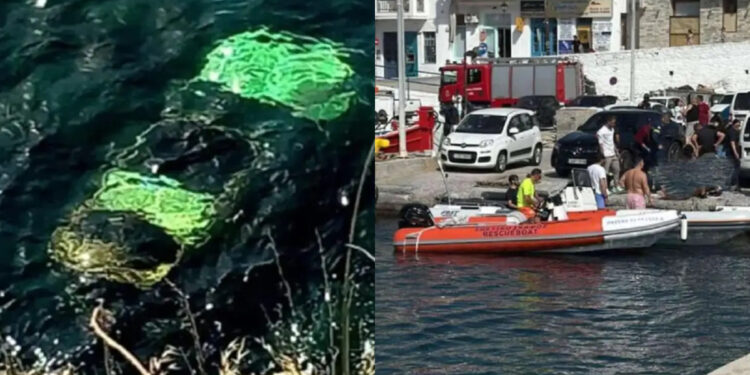 Alldaynews.gr Τραγωδία: «Το αυτοκίνητο είχε μισοβυθιστεί και η γυναίκα φώναζε “βοήθεια”», λέει αυτόπτης μάρτυρας