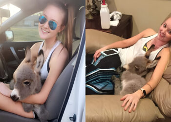 Ζει ευτυχισμένο: 17χρονη υιοθετεί ένα γαϊδουράκι και του χαρίζει μια όμορφη ζωή