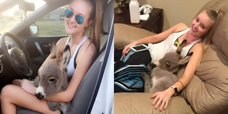 Ζει ευτυχισμένο: 17χρονη υιοθετεί ένα γαϊδουράκι και του χαρίζει μια όμορφη ζωή