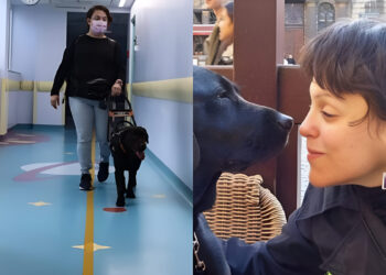 Ιωάννα-Μαρία Γκέρτσου: Τυφλώθηκε στη θερμοκοιτίδα, σπούδασε ψυχολογία και ίδρυσε την πρώτη σχολή για σκύλους-οδηγούς τυφλών στην Ελλάδα