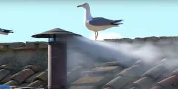 ΕΚΤΑΚΤΟ: Λευκός καπνός από την Καπέλα Σιξτίνα μετά την τέταρτη ψηφοφορία – «Habemus papam»