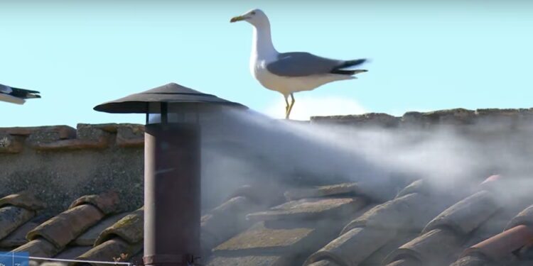 ΕΚΤΑΚΤΟ: Λευκός καπνός από την Καπέλα Σιξτίνα μετά την τέταρτη ψηφοφορία – «Habemus papam»