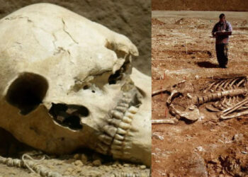 Ο Κύκλωπας της Κοζάνης: Το τηλεγράφημα του νομάρχη που προκάλεσε παγκόσμιο ενδιαφέρον για την ύπαρξη των μονόφθαλμων γιγάντων