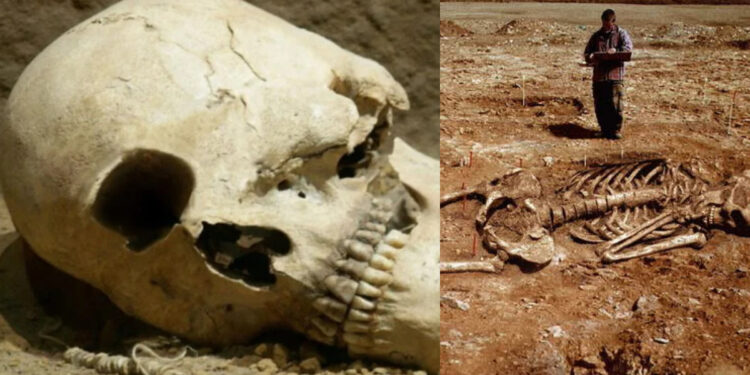 Ο Κύκλωπας της Κοζάνης: Το τηλεγράφημα του νομάρχη που προκάλεσε παγκόσμιο ενδιαφέρον για την ύπαρξη των μονόφθαλμων γιγάντων