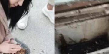 Alldaynews.gr Συγκινητικό βίντεο: Νοσηλεύτρια επαναφέρει με μαλάξεις γατάκι που είχε πέσει σε φρεάτιο