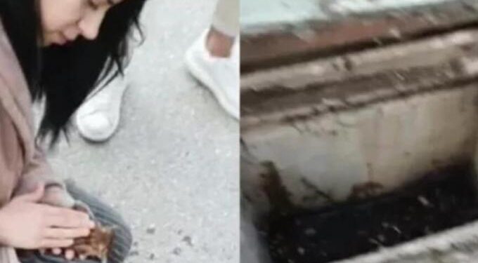 Alldaynews.gr Συγκινητικό βίντεο: Νοσηλεύτρια επαναφέρει με μαλάξεις γατάκι που είχε πέσει σε φρεάτιο