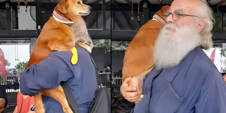 Alldaynews.gr Δεν κοστίζει να είσαι άνθρωπος: Παπάς κουβαλάει στα χέρια μια σκυλίτσα που έχει πρόβλημα με τη μέση της