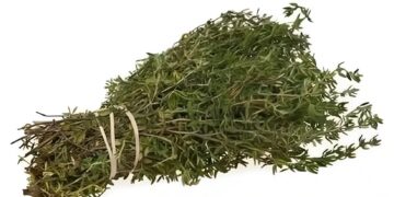 Alldaynews.gr Το πιο ισχυρό βότανο που καταστρέφει παράσιτα, λοιμώξεις του ουροποιητικού συστήματος και της ουροδόχου κύστης, έρπητα, ιούς γρίπης, πόνους στις αρθρώσεις, αρθρίτιδα, ισχιαλγία, κάντιντα