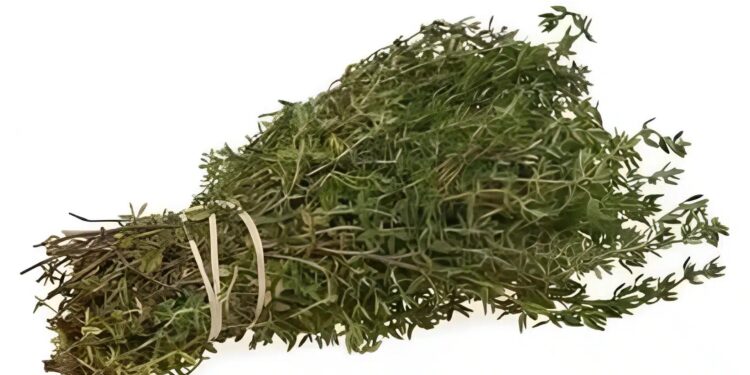 Alldaynews.gr Το πιο ισχυρό βότανο που καταστρέφει παράσιτα, λοιμώξεις του ουροποιητικού συστήματος και της ουροδόχου κύστης, έρπητα, ιούς γρίπης, πόνους στις αρθρώσεις, αρθρίτιδα, ισχιαλγία, κάντιντα