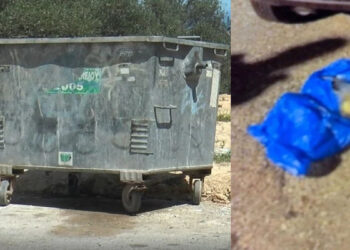 «Γνωρίζονταν χρόνια, ήταν συμμαθήτριες, άλλαξε φύλο ο σύζυγος και παντρεύτηκαν»: Σοκάρουν οι αποκαλύψεις για την εγκατάλειψη βρέφους σε κάδο