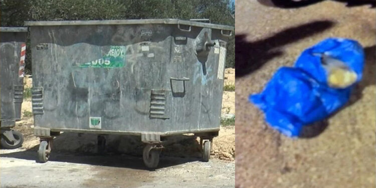 Alldaynews.gr «Γνωρίζονταν χρόνια, ήταν συμμαθήτριες, άλλαξε φύλο ο σύζυγος και παντρεύτηκαν»: Σοκάρουν οι αποκαλύψεις για την εγκατάλειψη βρέφους σε κάδο