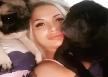 Θρίλερ: Φιλόζωη φαγώθηκε από τα σκυλιά της – Ήταν για μέρες νεκρή στο σπίτι της