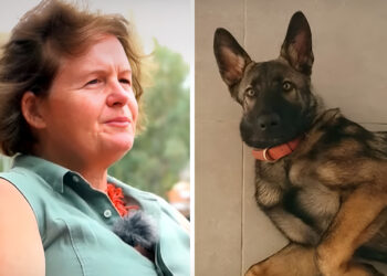 «Ήταν η μητέρα του Στέφανου, όχι η δίδυμη αδελφή της», λέει αυτόπτης μάρτυρας για το περιστατικό με τον σκύλο της οικογένειας Τσιτσιπά