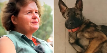 «Ήταν η μητέρα του Στέφανου, όχι η δίδυμη αδελφή της», λέει αυτόπτης μάρτυρας για το περιστατικό με τον σκύλο της οικογένειας Τσιτσιπά