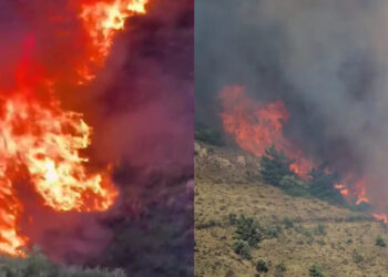 Alldaynews.gr ΠΑΡΑΔΟΘΗΚΑΝ ΣΤΙΣ ΦΛΟΓΕΣ: ΜΑΧΗ ΝΑ ΜΗΝ ΜΠΕΙ ΣΤΗΝ ΠΟΛΗ – Νέο μήνυμα του 112 για τους κατοίκους του Αγίου Γεωργίου – «Εκκενώστε προς την πόλη»