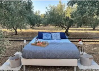 Νοικιάζουν κρεβάτι μέσα στις… ελιές από 106 έως 126 ευρώ το βράδυ – Οι δραστηριότητες και οι τιμές τους